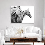 Grey Horses Photo Canvas Print