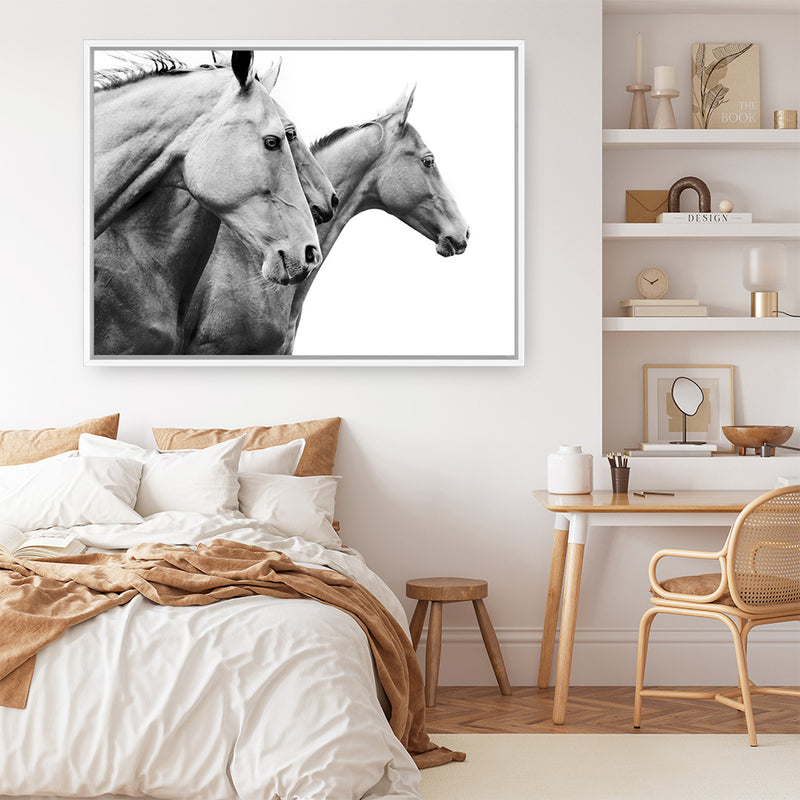 Grey Horses Photo Canvas Print
