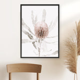 Banksia I Photo Art Print