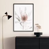 Banksia I Photo Art Print