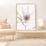 Banksia I Photo Art Print