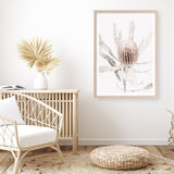 Banksia I Photo Art Print