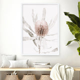 Banksia I Photo Art Print