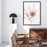 Banksia I Photo Canvas Print