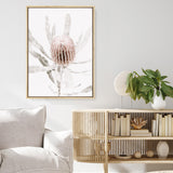 Banksia I Photo Canvas Print