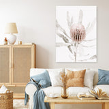 Banksia I Photo Canvas Print