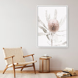Banksia I Photo Canvas Print