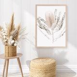 Banksia III Photo Art Print