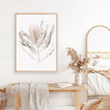 Banksia III Photo Art Print