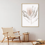 Banksia III Photo Canvas Print
