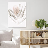 Banksia III Photo Canvas Print