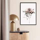 Waratah II Photo Art Print