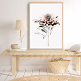 Waratah II Photo Art Print