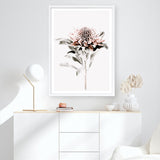 Waratah II Photo Art Print