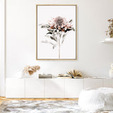 Waratah II Photo Canvas Print