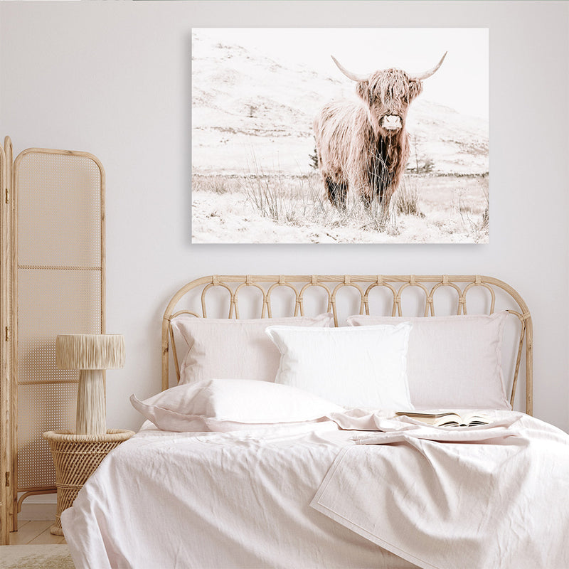 Highland Cow III Photo Canvas Print