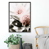 Waratah Flowers II Photo Art Print