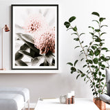 Waratah Flowers II Photo Art Print