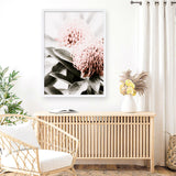 Waratah Flowers II Photo Art Print