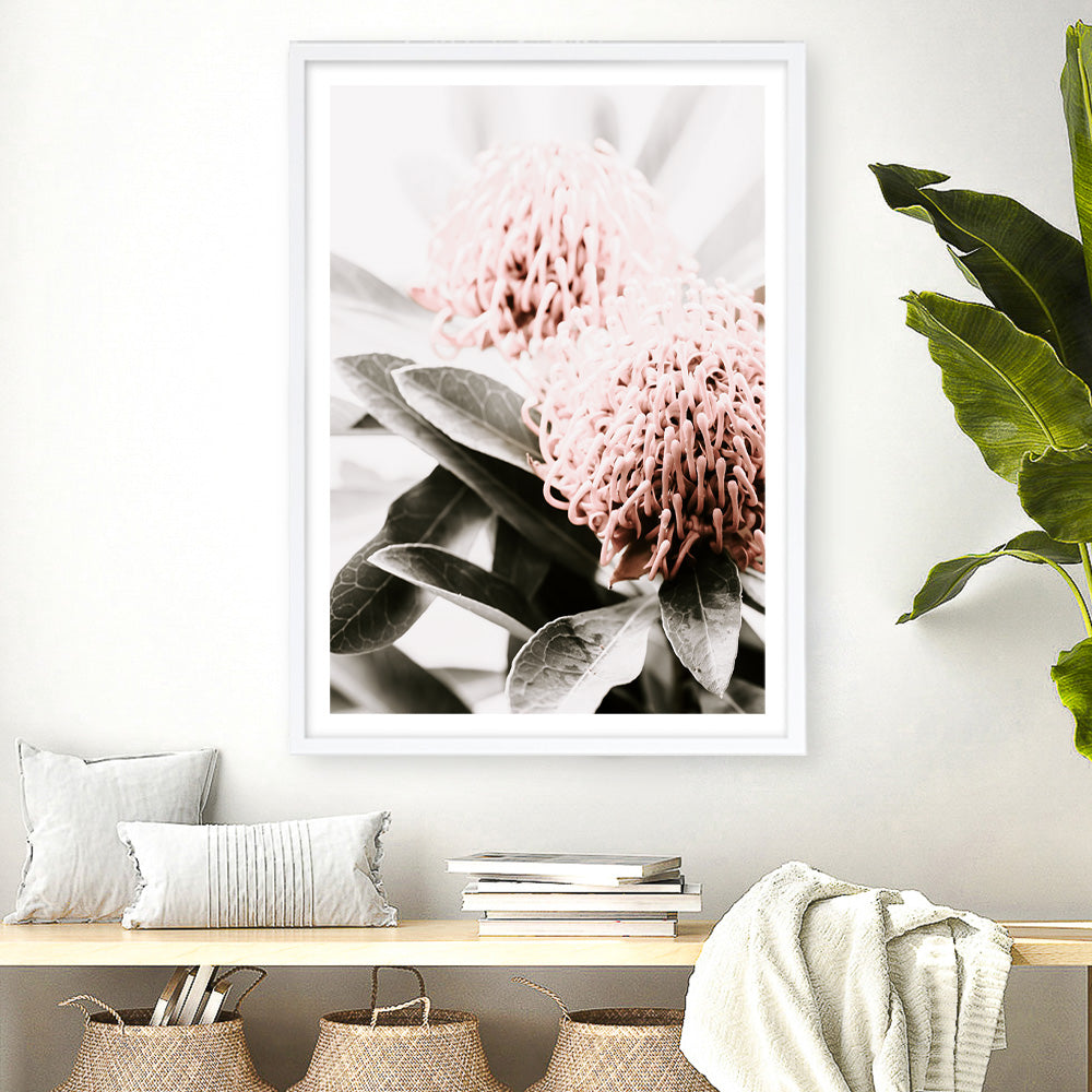 Buy Waratah Flowers II Photo Art Print | The Print Emporium®
