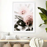 Waratah Flowers II Photo Art Print