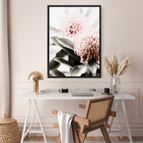 Waratah Flowers II Photo Canvas Print