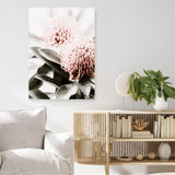 Waratah Flowers II Photo Canvas Print