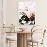 Waratah Flowers II Photo Canvas Print