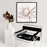 King Protea II (Square) Photo Art Print