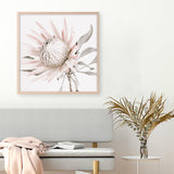 King Protea II (Square) Photo Art Print