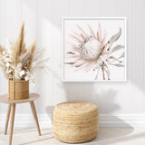 King Protea II (Square) Photo Art Print