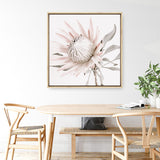 King Protea II (Square) Photo Canvas  Print