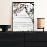 Tea Tree Bay I Photo Art Print