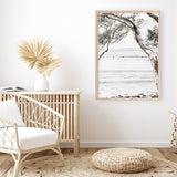 Tea Tree Bay I Photo Art Print