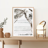 Tea Tree Bay I Photo Art Print