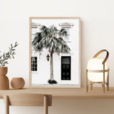 Palm House II Photo Art Print