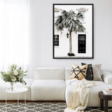 Palm House II Photo Canvas Print