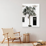 Palm House II Photo Canvas Print