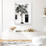 Palm House II Photo Canvas Print