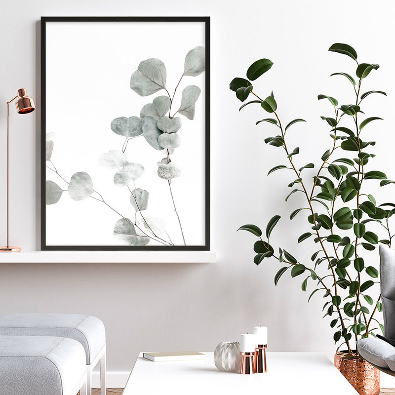 Eucalyptus I Photo Art Print