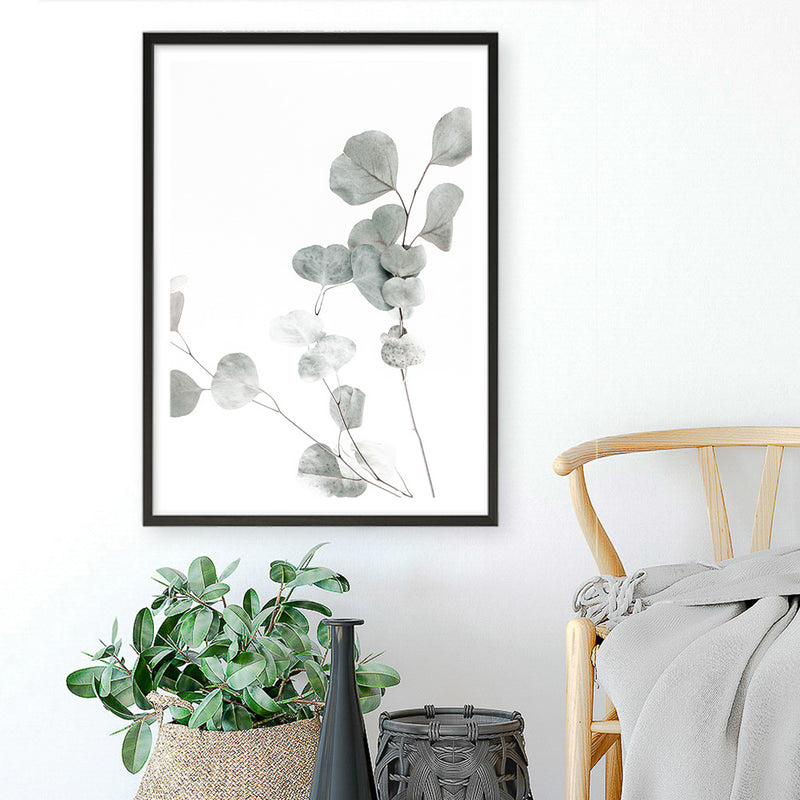 Eucalyptus I Photo Art Print