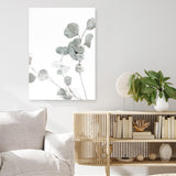 Eucalyptus I Photo Canvas Print