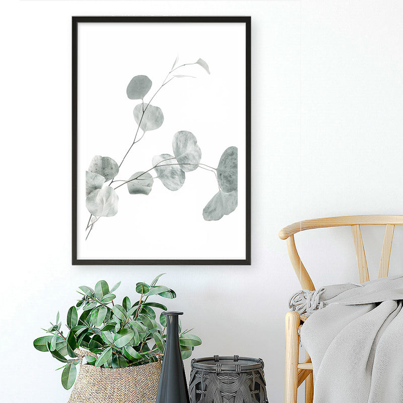Eucalyptus II Photo Art Print