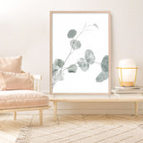 Eucalyptus II Photo Art Print