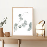 Eucalyptus II Photo Art Print
