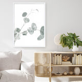 Eucalyptus II Photo Art Print