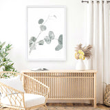 Eucalyptus II Photo Art Print