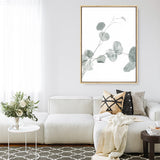 Eucalyptus II Photo Canvas Print