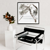 Tea Tree Bay (Square) Photo Art Print