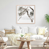 Tea Tree Bay (Square) Photo Art Print